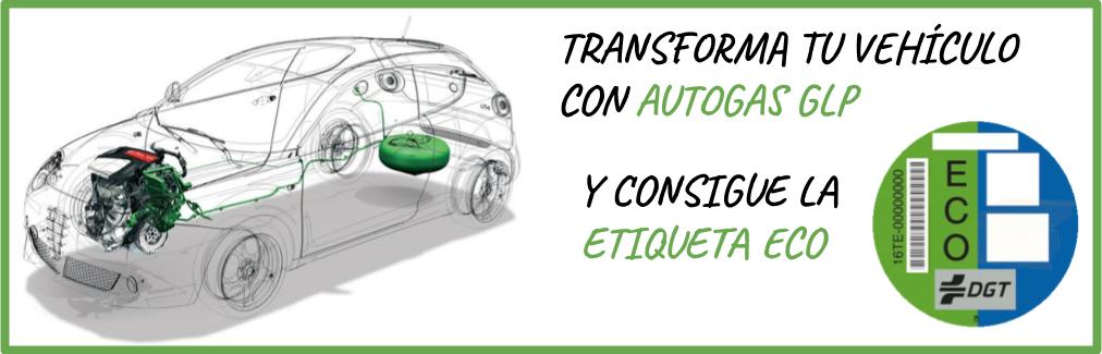 INSTALADOR OFICIAL AUTOGAS